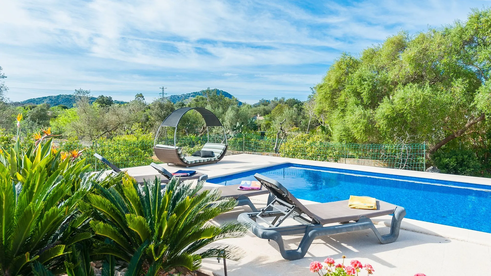 Clavell Daire Pollenca Spain
