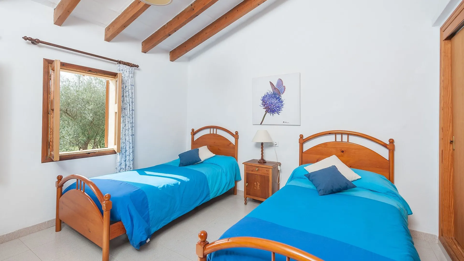 Clavell Daire Pollensa